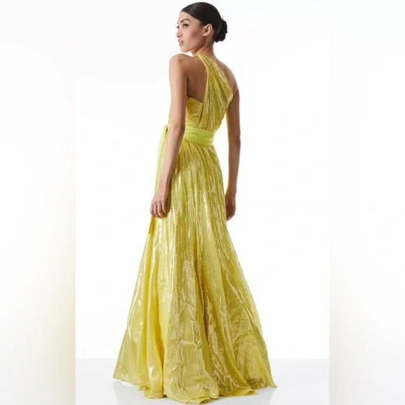 ALICE OLIVIA Milan One Shoulder Silk Blend Maxi Gown Dress